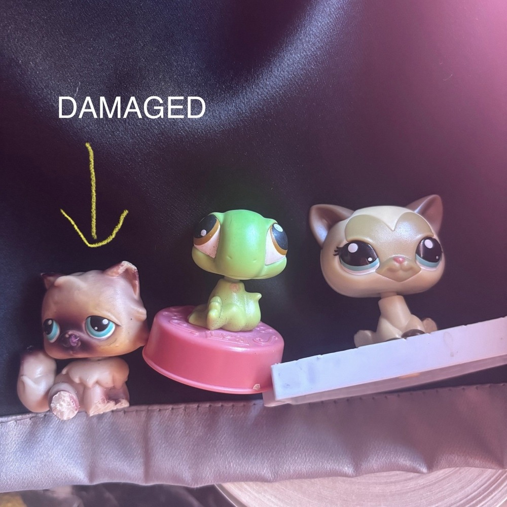 Littlest Pet Shop Lot 3 Shorthair Cat 5 Gecko 595 Persian 61 Hasbro Flawed